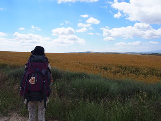 Pilgrim on the road to Santiago de Compostela, El Camino de Santiago, Journey from Estella to Torres del Rio, French way, Spain