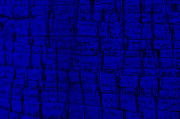 Classic blue color 2020. Texture of wood palm bark. Classic blue background, blue toning 19 4052. Abstract trendy background mock up with copy space for text.