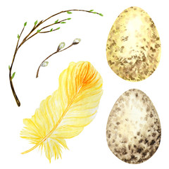 Watercolor hand drawn Easter eggs, bird Bright feather, willow tree branch with green leaves set. Illustration Design concept isolated on a white background. Chickens egg Symbols of Easter celebration