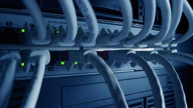 Close-up Macro Shot Ethernet Cables Connected to Router Ports with Blinking Lights. Telecommunications: RJ45 Device Connectors Plugged into Modem Hubs. Secure Data Center. Camera Moving Between Cables