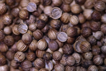 chestnuts in the market