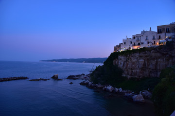 Vieste Seascape by Night with Illuminated City View