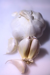 garlic on white background