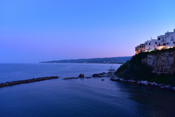 Vieste Seascape by Night with Illuminated City View
