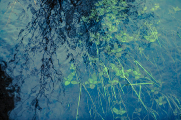 Water abstraction with shadow and reflected light.