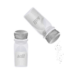 Salt Spices Shaker on white background, glass shaker in realistic style, food seasoning, vector eps 10 format