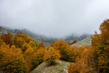 paesaggio autunnale