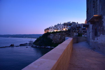 Vieste Seascape by Night with Illuminated City View