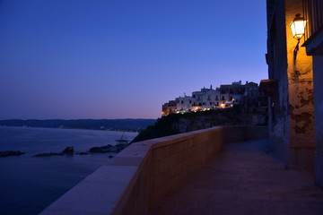 Vieste Seascape by Night with Illuminated City View