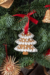 Christmas gingerbread cookie hanging on a fir branch