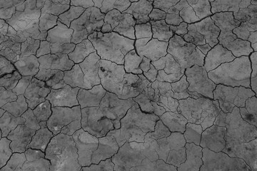 cracked earth texture