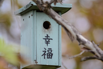 Small birdhouse hanging from tree branch.