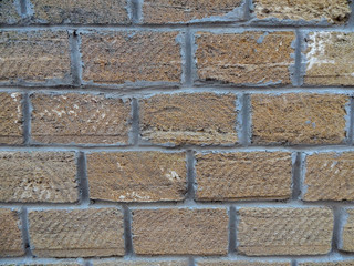 Background wall with shell rock. Old wall. Texture limestone. Texture