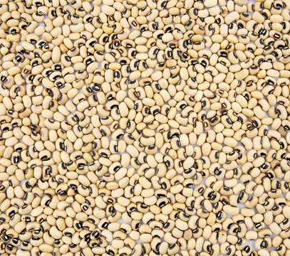 black eye bean closeup background