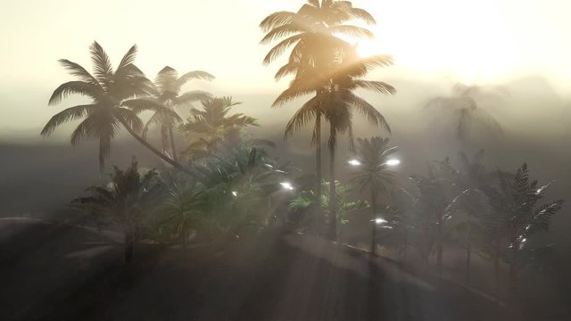 Coco palm trees tropical landscape with smoke and sun beam