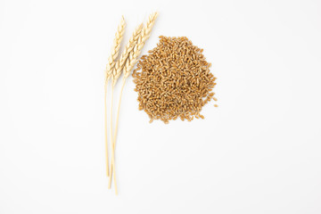 spikelets and grains of wheat on a white background