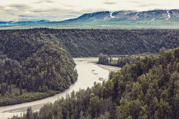 Endless Alaskan forest and wilderness landscape