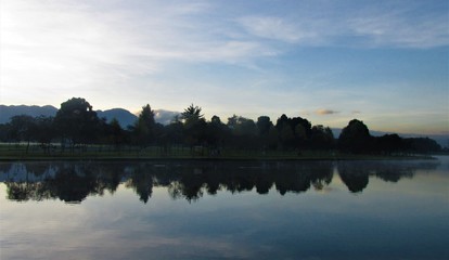 La sombra de algunos árboles del bosqu sobre el lago