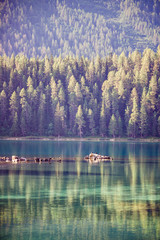 landscape with lake and trees