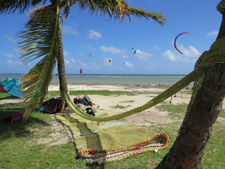 Rest in hammock among Caribbean palm trees. Kitesurf in turquoise waters of the Caribbean. Tropical...