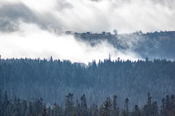 Foto op Plexiglas Mistig bos Het uitzicht vanaf de hoogten van de bergen en bossen bedekt met mist