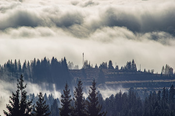 Het uitzicht vanaf de hoogten van de bergen en bossen bedekt met mist