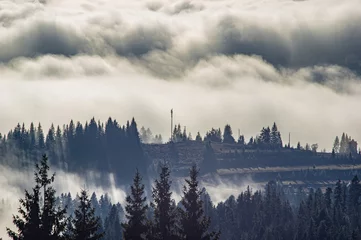 Deurstickers Mistig bos Het uitzicht vanaf de hoogten van de bergen en bossen bedekt met mist