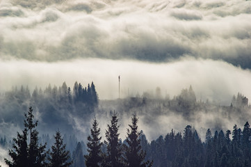 The view from the heights of the mountains and forests covered by fog
