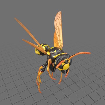 Paper wasp flying