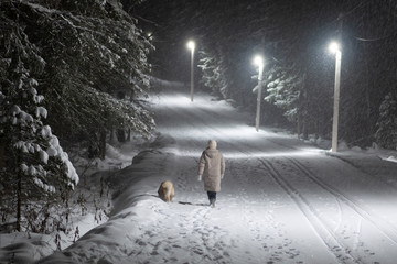Walk with the dog in the night-in the snow by the light of lanterns.