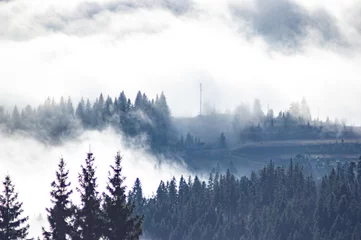Rollo Wald im Nebel Der Blick von den Höhen der Berge und Wälder bedeckt von Nebel