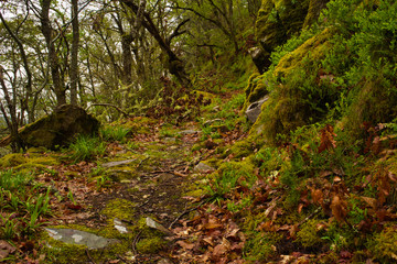 Sendero naturaleza