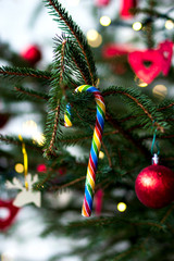 ein regenbogen lolli am Weihnachtsbaum