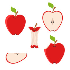 delicious red apple set haif, slice, with green leaf, with seeds on white, stock vector illustration