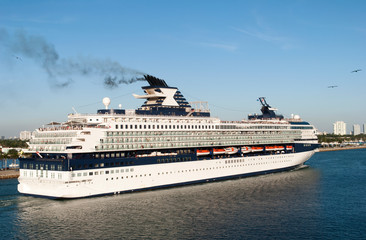 Fototapeta na wymiar Miami Cruise Ship With Seagulls