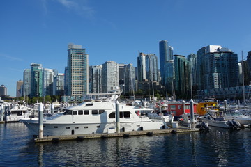 Obraz premium Vancouver parc stanley