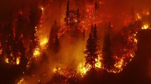 Aerial, rising, drone shot, tilting over the Californian wildfire, Lush lava like glowing, red forest, burning on a dark, summer night, in Los Angeles, California, USA