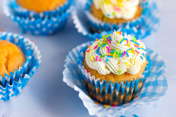 Cupcake with Buttercream Frosting with Sprinkle, Shallow Depth of Field, Selective Focus, Blur Background, Festive Food