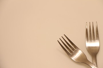 The pair of fork on the white background