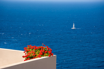 Balcony with flowers on a background of a sailboat at sea.