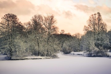 winter landscape with first snow
