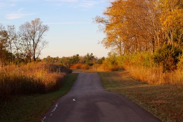 The long empty pathway in the country park at sunset.