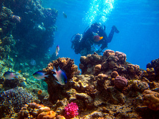 Fototapeta na wymiar Man scuba diver and beautiful colorful coral reef underwater