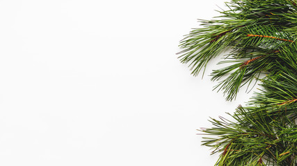 Fototapeta na wymiar Banner with pine tree branches. White background with coniferous tree branches.