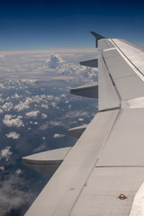 Plane View