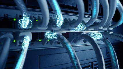 Ethernet Cables Connected to Modem with Digital Binary Code Streaming Information and Data. Concept: Digitalization and Visualization of Telecommunications. Macro Shot, Blue Special Effects - Powered by Adobe