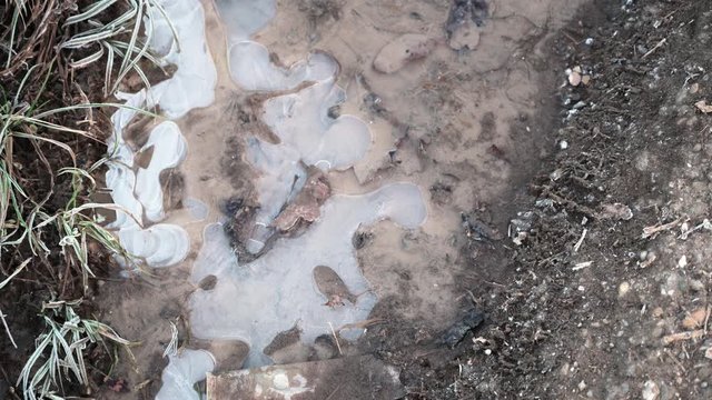 Frozen mud puddle on a way