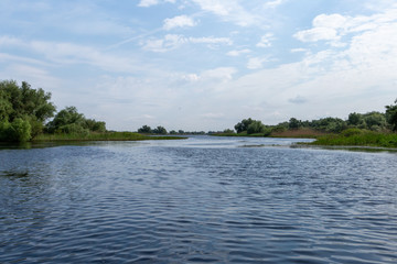 Breiter Seitenarm im Doneaudelta