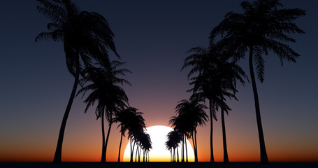 Fototapeta premium Coconut palm trees over sunset sky. Wide angle view. 3D render