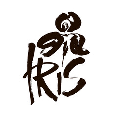 Vector flower logo. Floral background. Calligraphy ink. Stylized calligraphic ink iris.